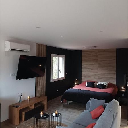 Loft Sauna Jacuzzi Ospariegeois Lavelanet Exterior foto