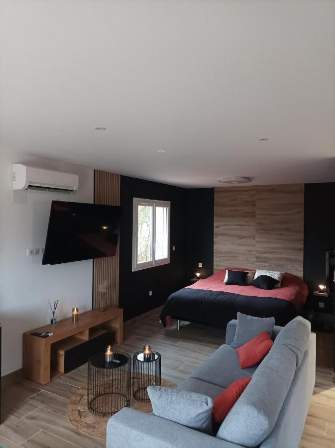 Loft Sauna Jacuzzi Ospariegeois Lavelanet Exterior foto